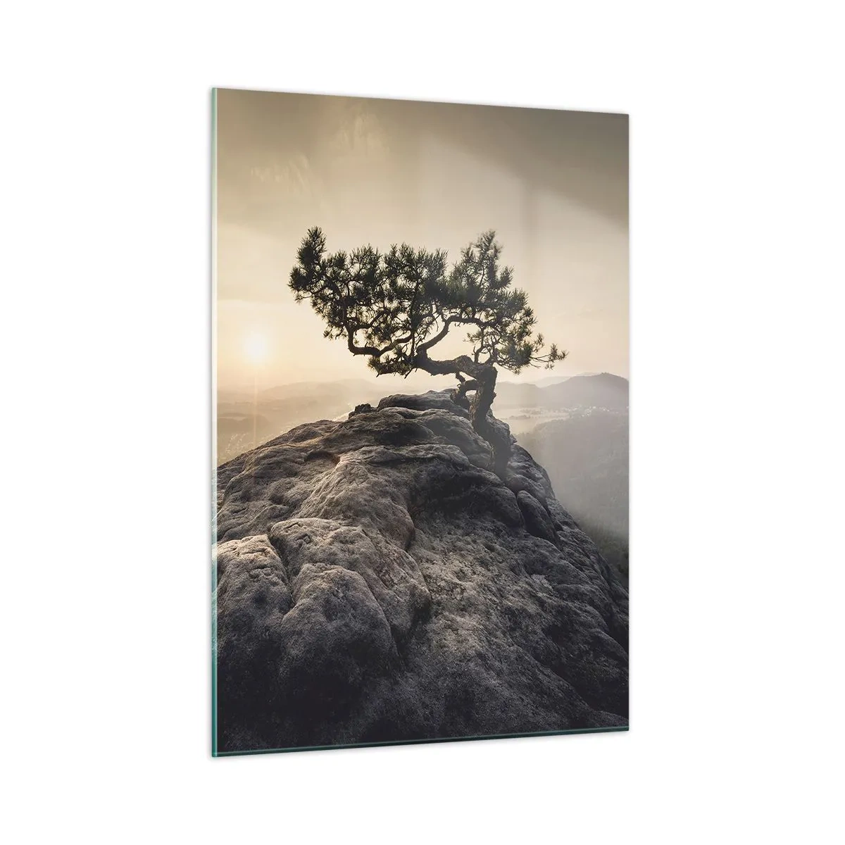 Glastavla - Bild på glas - Livet vinner alltid - 50x70 cm