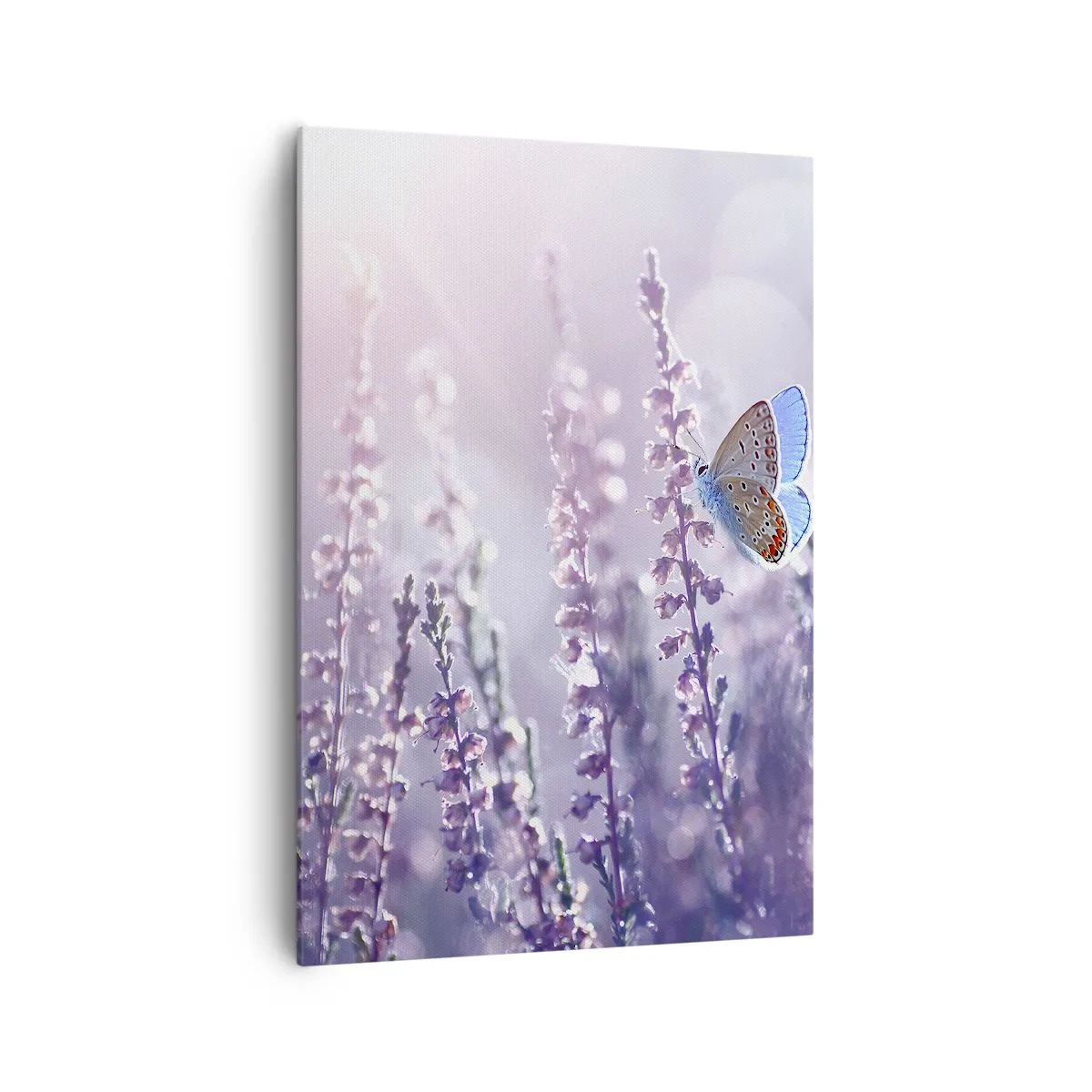 Canvastavla - Bild på duk - En fjärils kyss - 70x100 cm