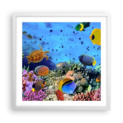 Affisch i vit ram - Vad vet vi om livet... - 50x50 cm