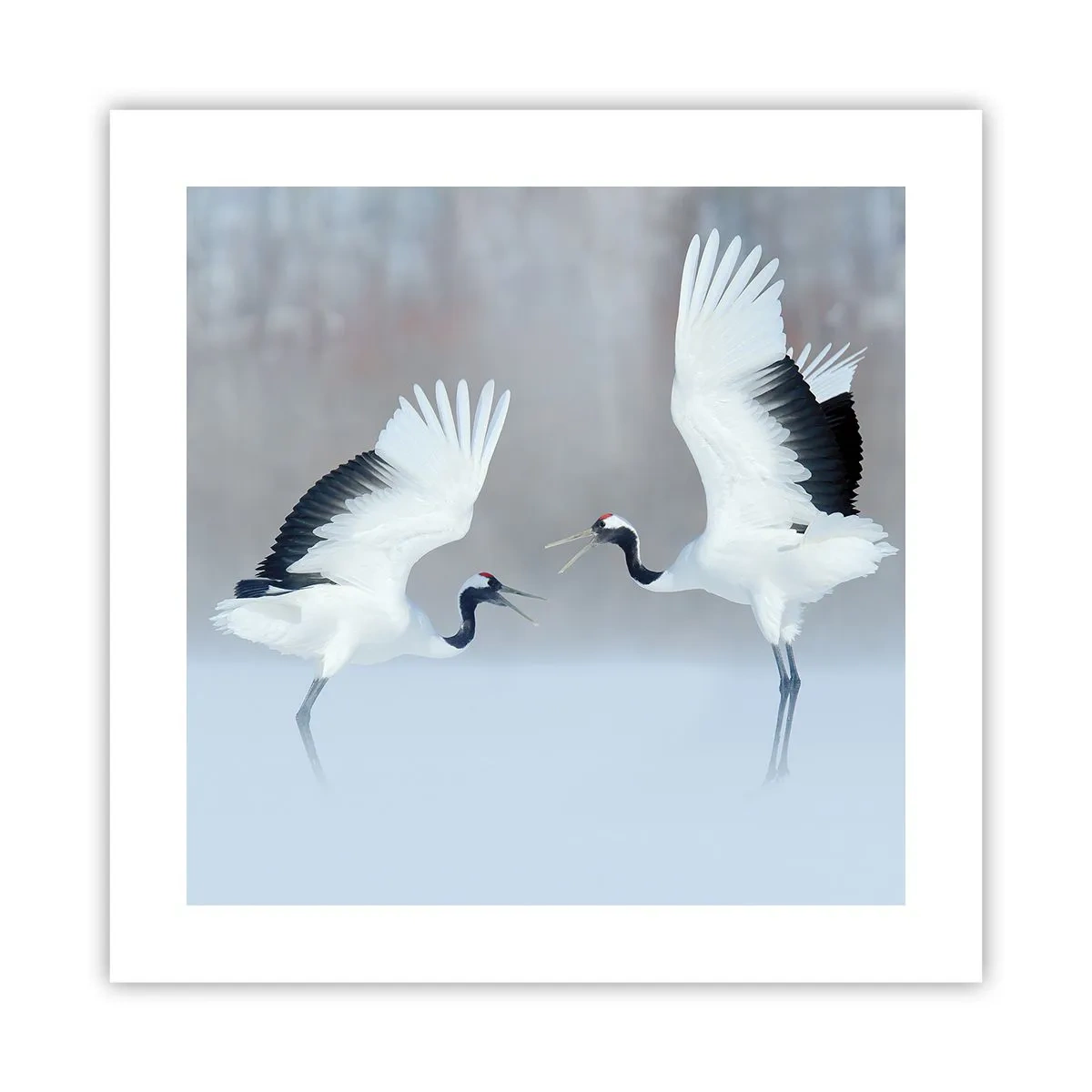 Affisch - Dansen i dimman - 40x40 cm