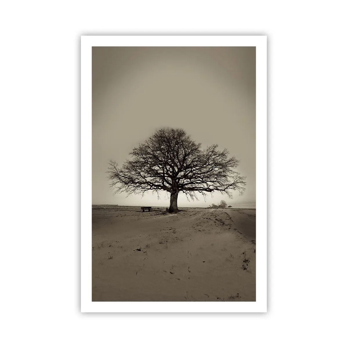 Affisch - Härifrån till evighet - 61x91 cm