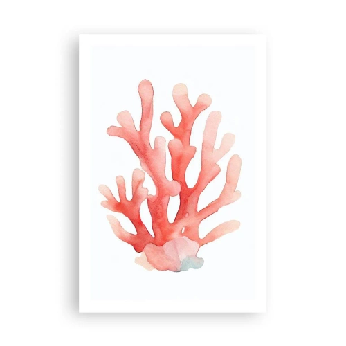Affisch - Korallfärgad korall - 61x91 cm