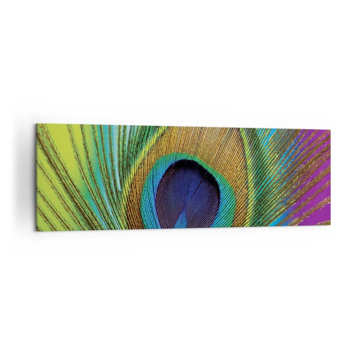 Canvastavla - Bild på duk - Öga mot öga - 160x50 cm