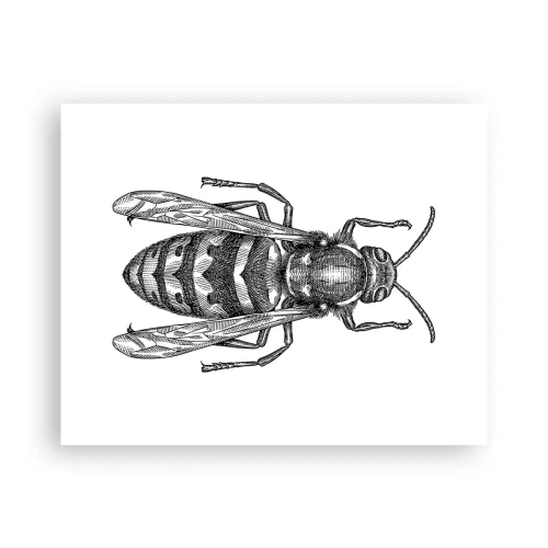 Affisch - Från insektplaneten  - 50x40 cm