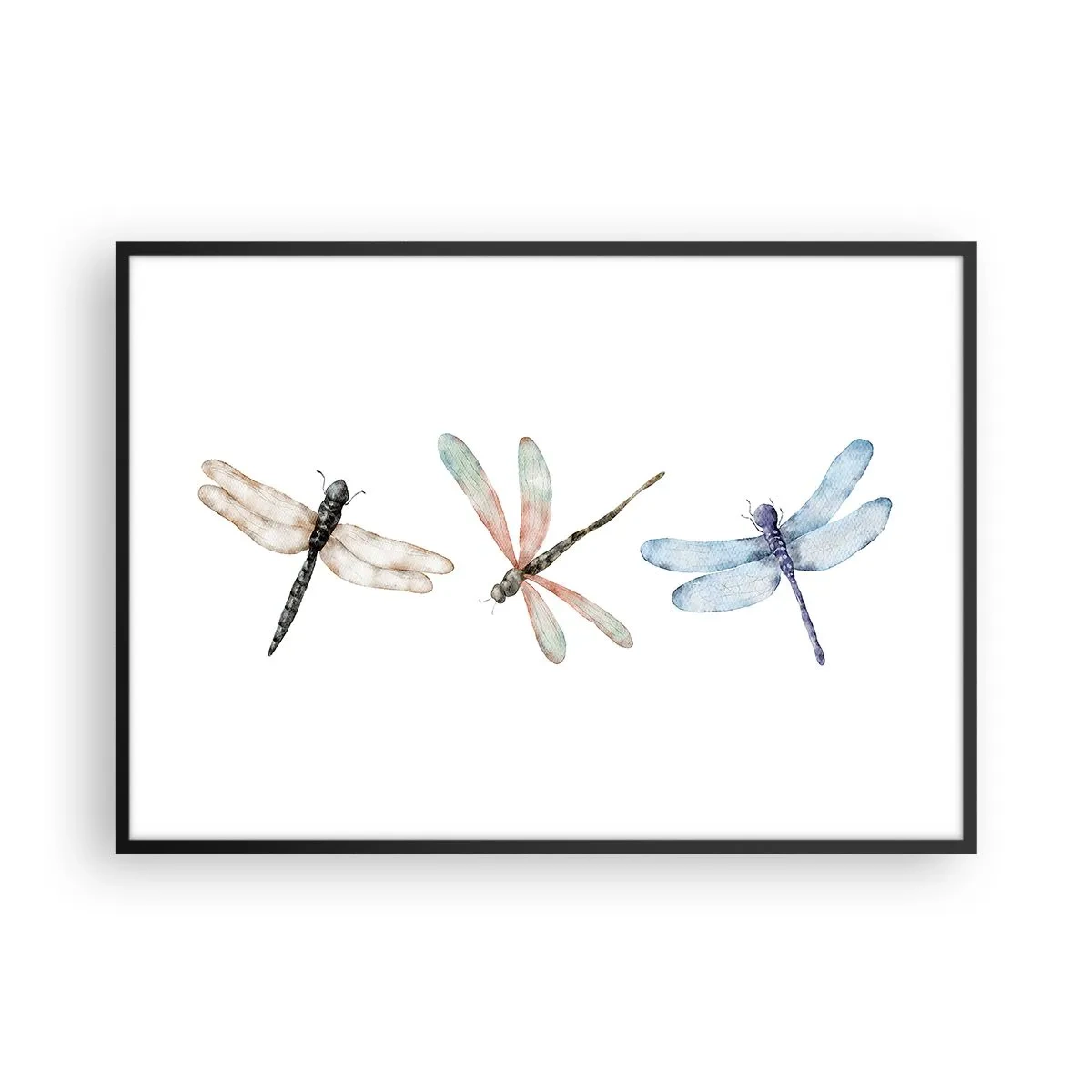 Affisch i svart ram - Viktlösa trollsländor - 100x70 cm