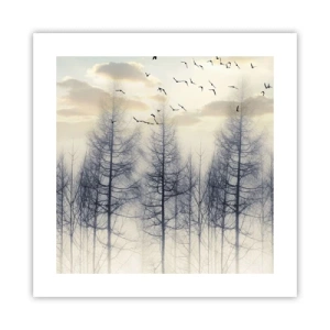 Affisch - Skogens andar - 40x40 cm