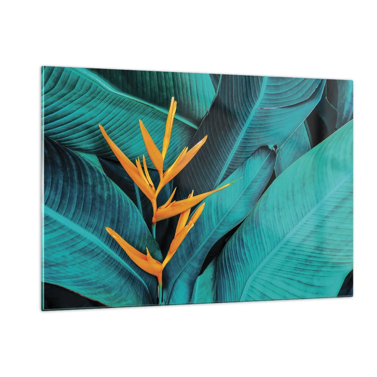 Glastavla - Bild på glas - Edens blomma - 120x80 cm