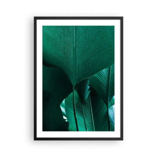 Affisch i svart ram - Närbild av stora gröna blad som visar struktur och textur. - 50x70cm - Vända mot ljuset - Modern väggdekoration för vardagsrum och sovrum ARTTOR