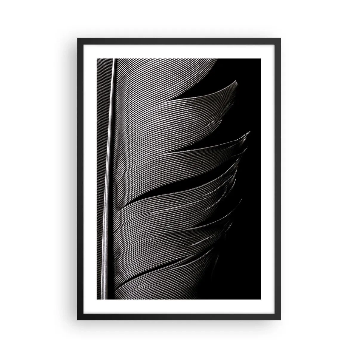 Affisch i svart ram - En minimalistisk tolkning av en fjäder i svartvitt - 50x70cm - Fjäder - en underbar konstruktion - Modern väggdekoration för vardagsrum och sovrum ARTTOR