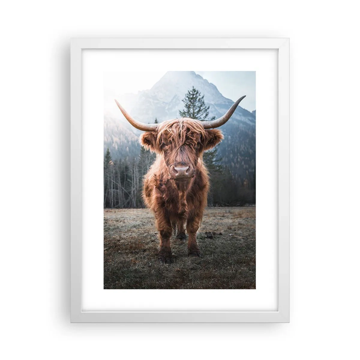Affisch i vit ram - Hälsningar från fjälläng - 30x40 cm