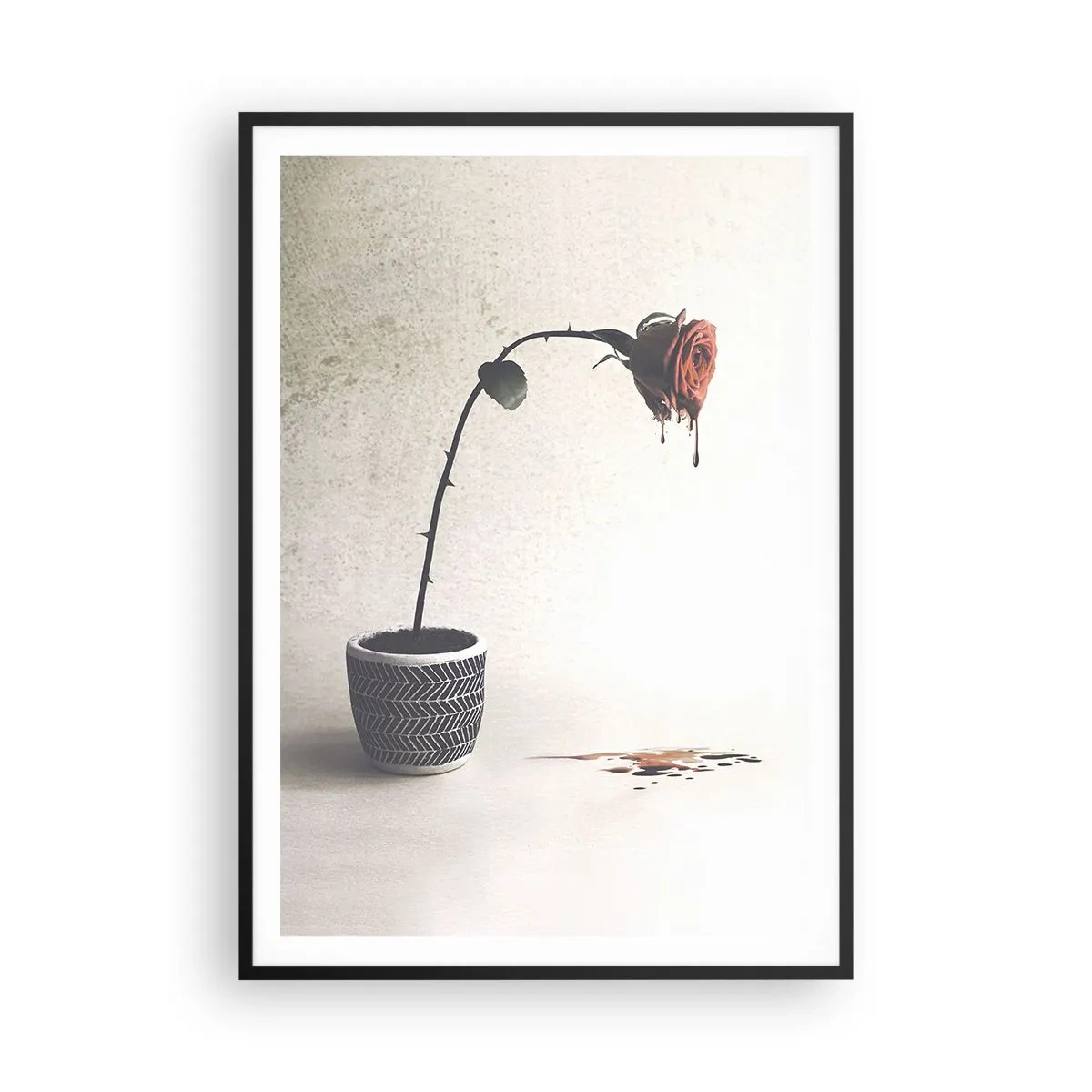 Affisch i svart ram - Rosa dolorosa - 70x100 cm