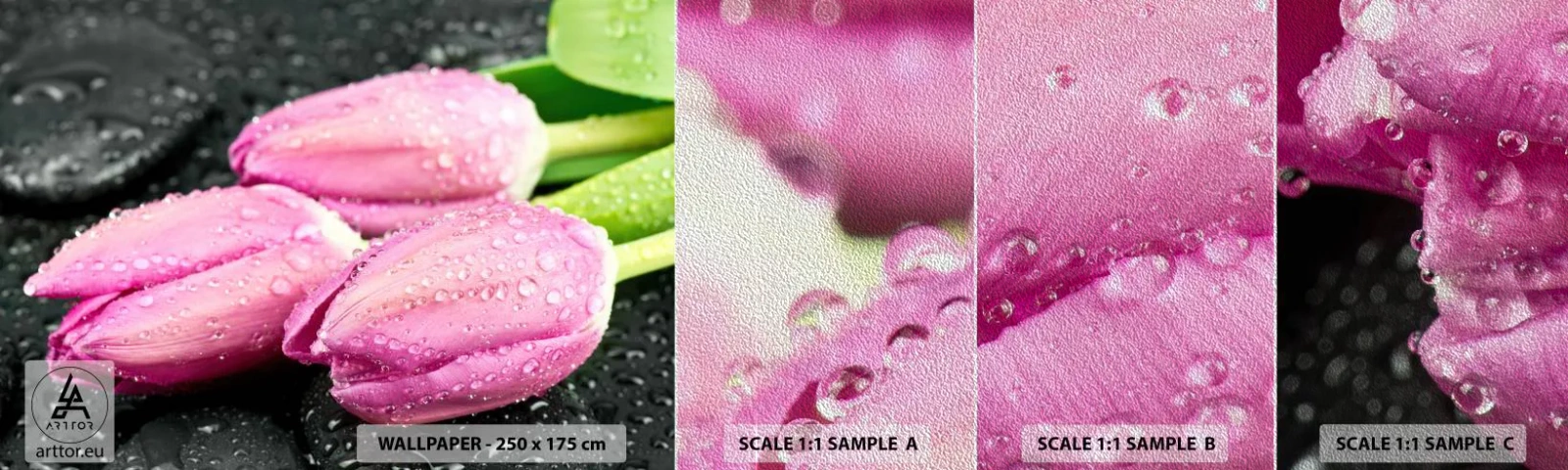 Provbit av fototapet Premium Sand - Tre i lila färg på en sten - Blommor, Tulpaner, Blombukett - 100x30 cm