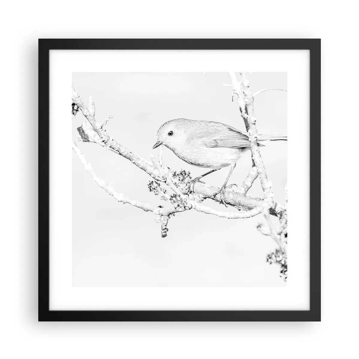 Affisch i svart ram - Vintermorgon - 40x40 cm