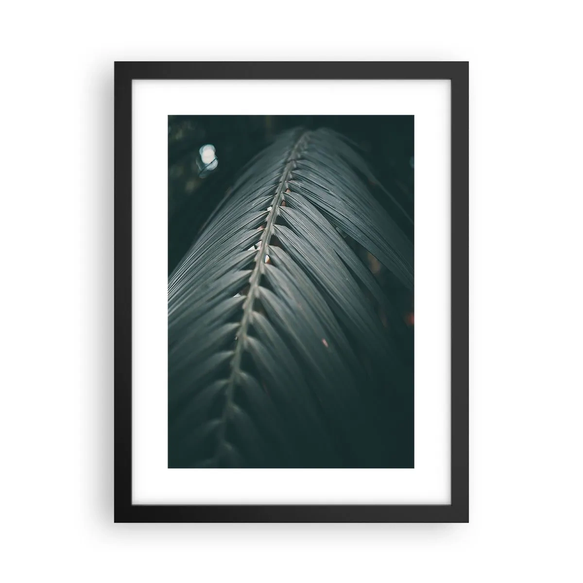 Affisch i svart ram - Naturens precision - 30x40 cm