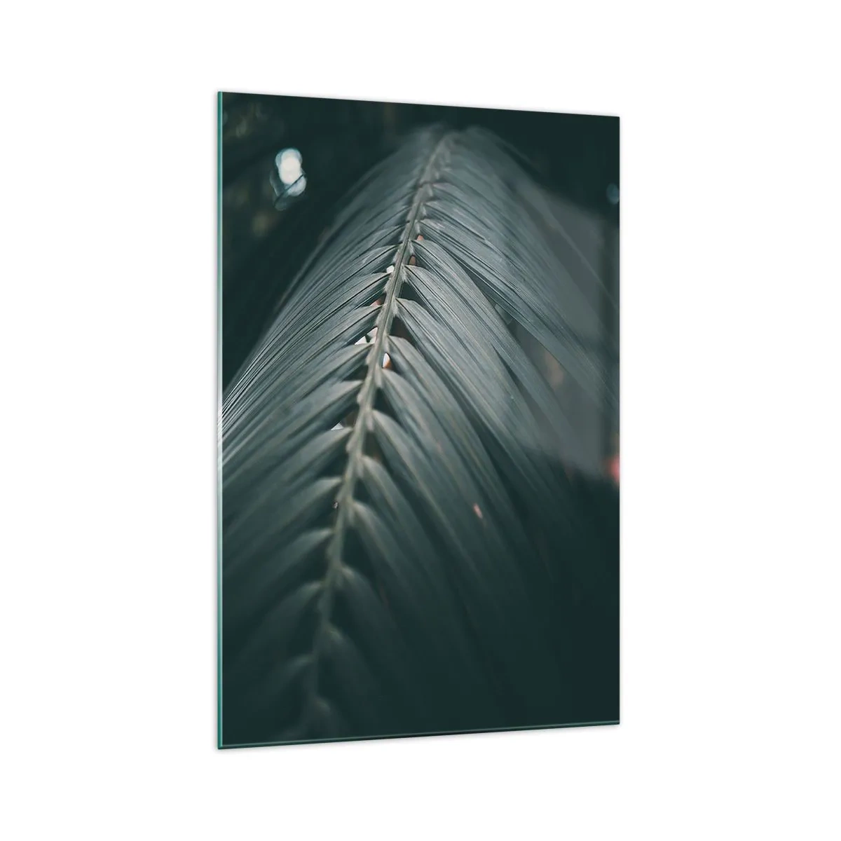 Glastavla - Bild på glas - Naturens precision - 70x100 cm