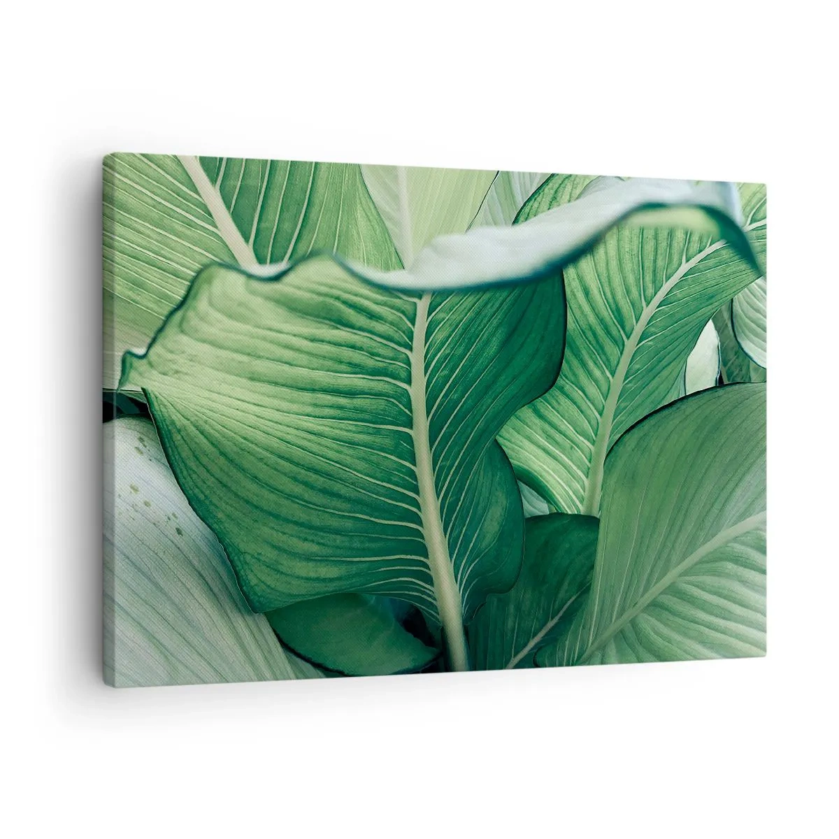 Canvastavla - Bild på duk - Gröna blad med uttrycksfulla detaljer och struktur - 70x50cm - Livet intensivt grönt - Modern väggdekoration för vardagsrum och sovrum ARTTOR