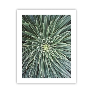 Affisch - Stjärna föds - 40x50 cm