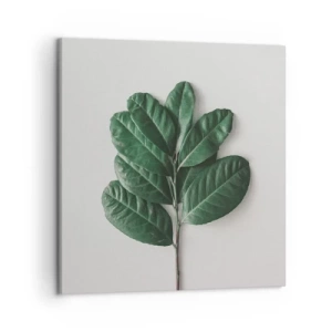 Canvastavla - Bild på duk - Själva naturens bild - 50x50 cm