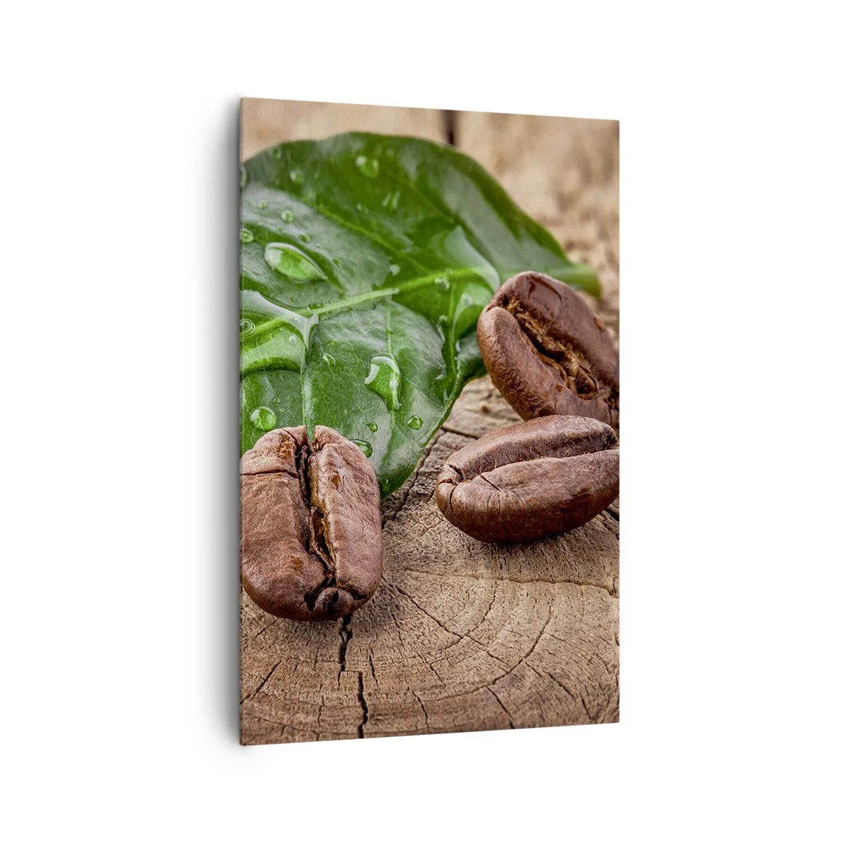 Canvastavla - Bild på duk - Äkta och svart - 80x120 cm