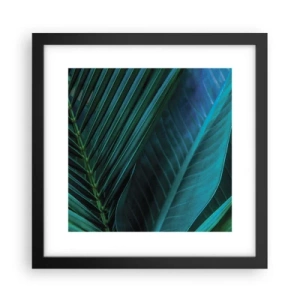 Affisch i svart ram - Grönskans anatomi - 30x30 cm