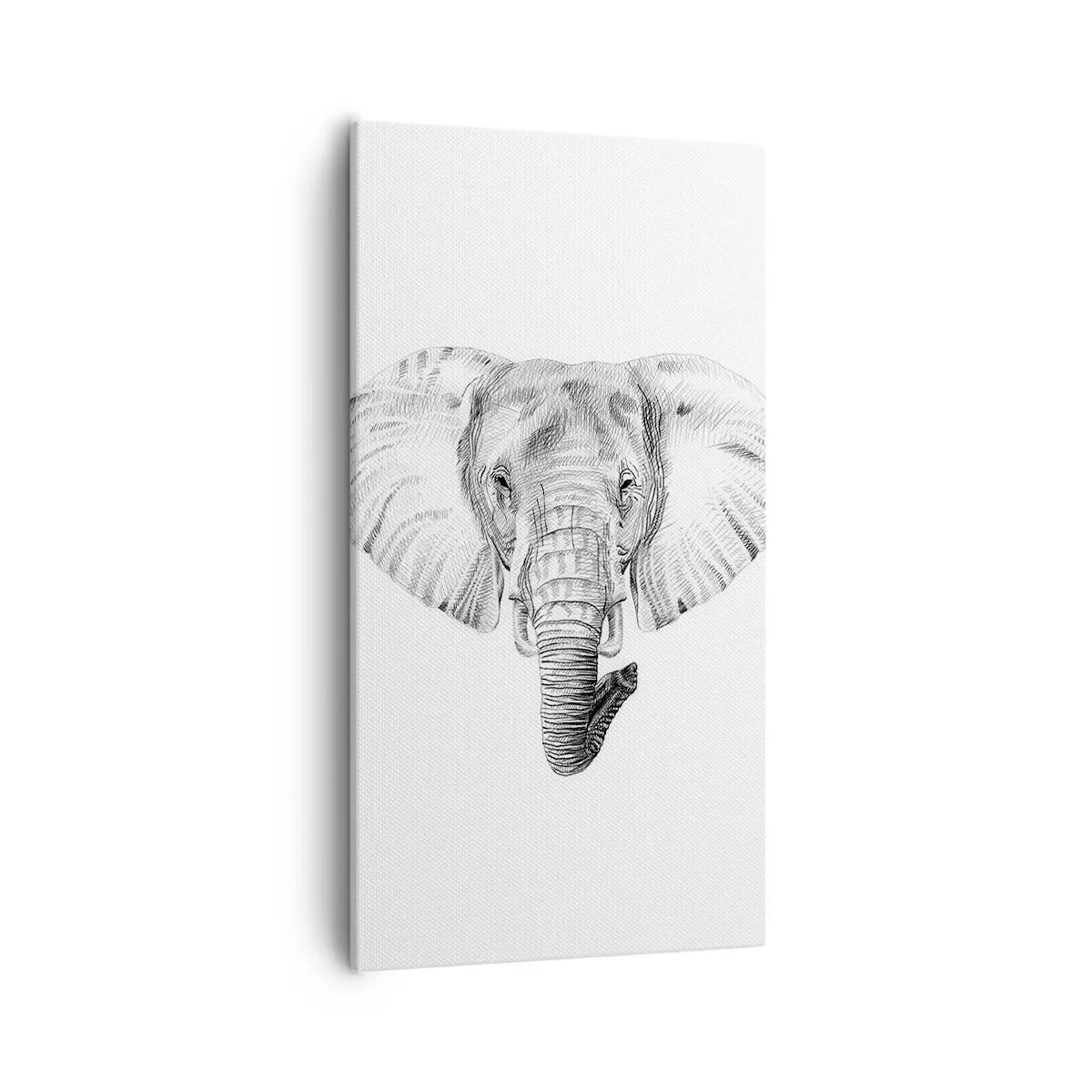 Canvastavla - Bild på duk - "Det var en elefant, stor som elefant" - 55x100 cm