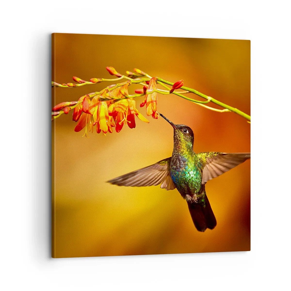 Canvastavla - Bild på duk - Ljusbud enligt Mayafolket - 60x60 cm