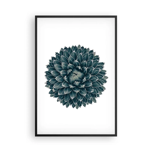 Affisch i svart ram - Öknens stjärna - 61x91 cm