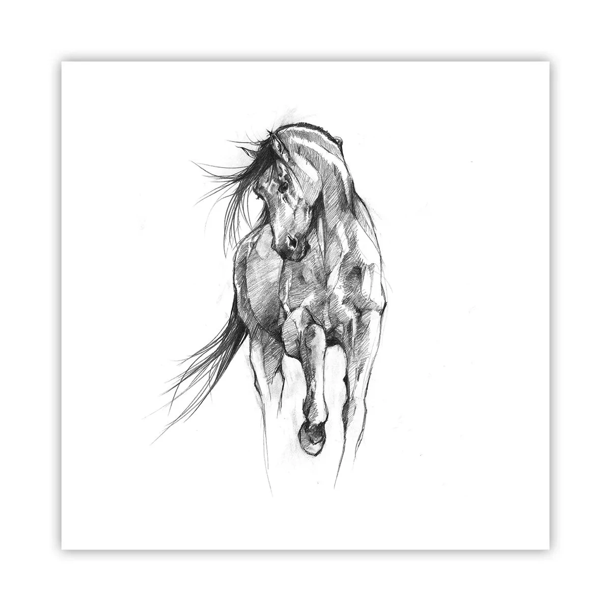 Affisch - Elegant trav - 60x60 cm