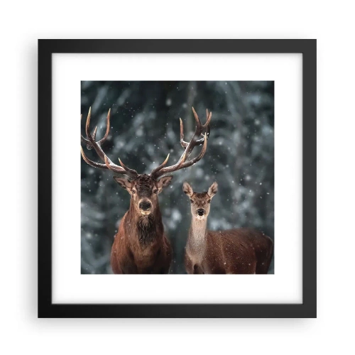 Affisch i svart ram - Skogens herre med hustrun - 30x30 cm