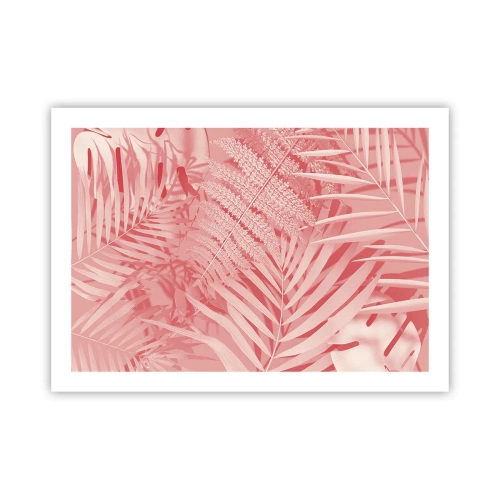 Affisch - Rosa koncept - 70x50 cm