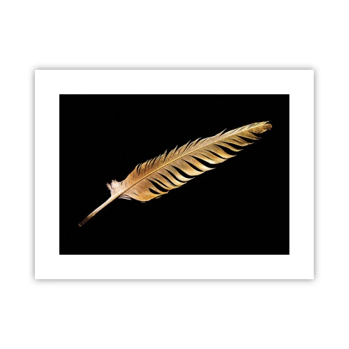 Affisch - Fjäder... - 40x30 cm