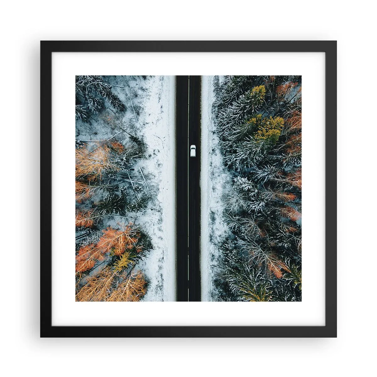 Affisch i svart ram - Genom vinterskogen - 40x40 cm