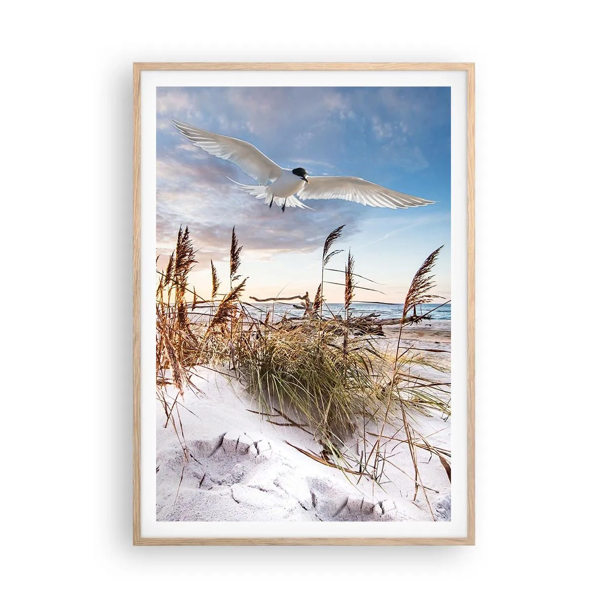 Affisch i ram av ljusek - Vind från havet - 70x100 cm