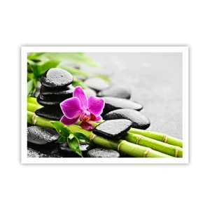 Affisch - Lugn balans - 100x70 cm