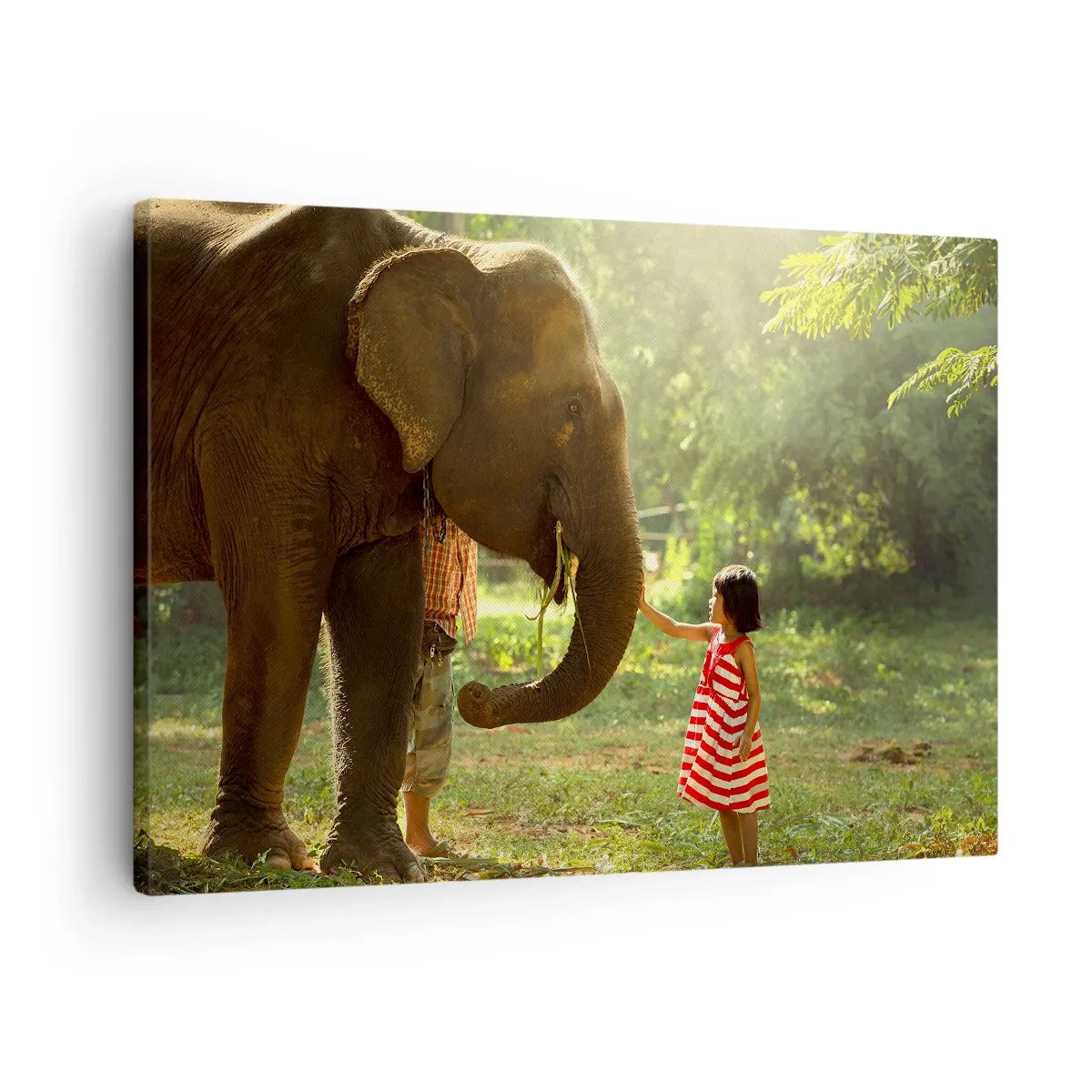 Canvastavla - Bild på duk - En flicka i en röd klänning som rör vid en elefant i skogen. - 70x50cm - Vänskapens styrka - Modern väggdekoration för vardagsrum och sovrum ARTTOR