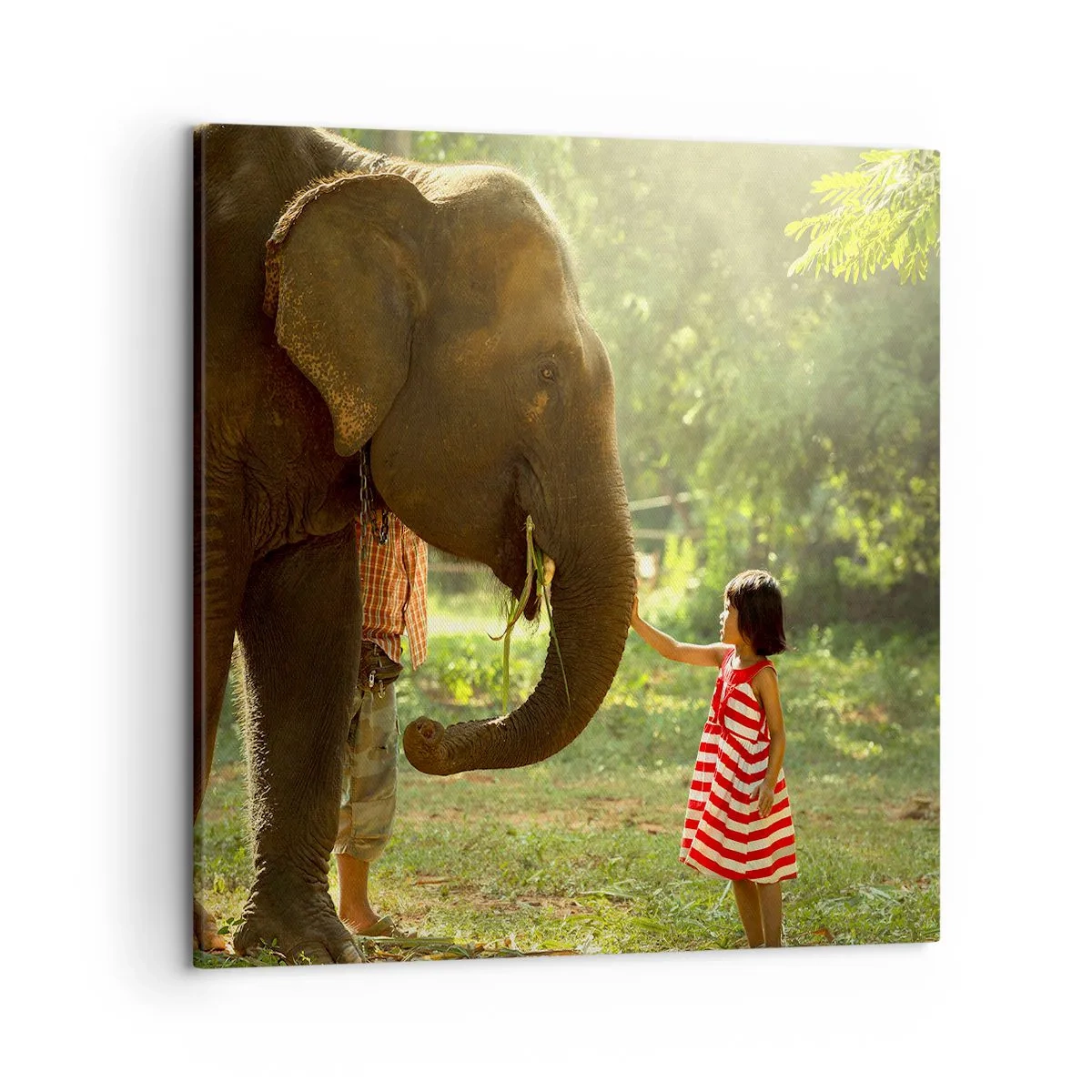 Canvastavla - Bild på duk - Vänskapens styrka - 50x50 cm