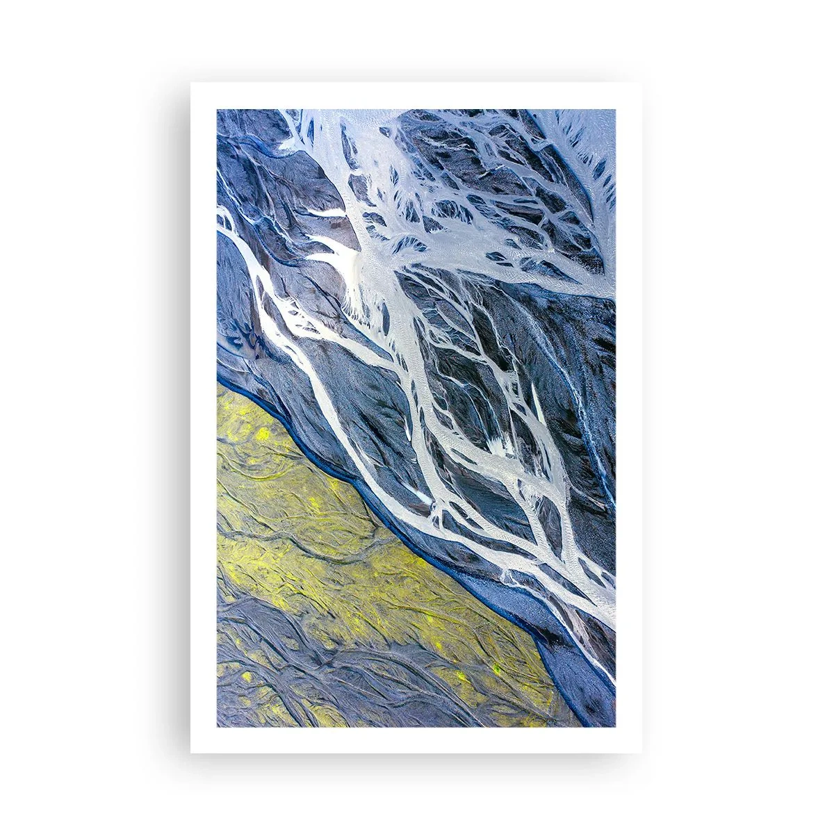 Affisch - Naturens grottmålningar - 61x91 cm
