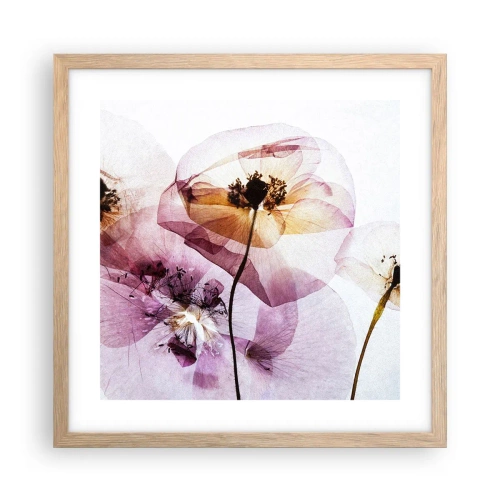 Affisch i ram av ljusek - Blommornas transparenta kroppar - 40x40 cm