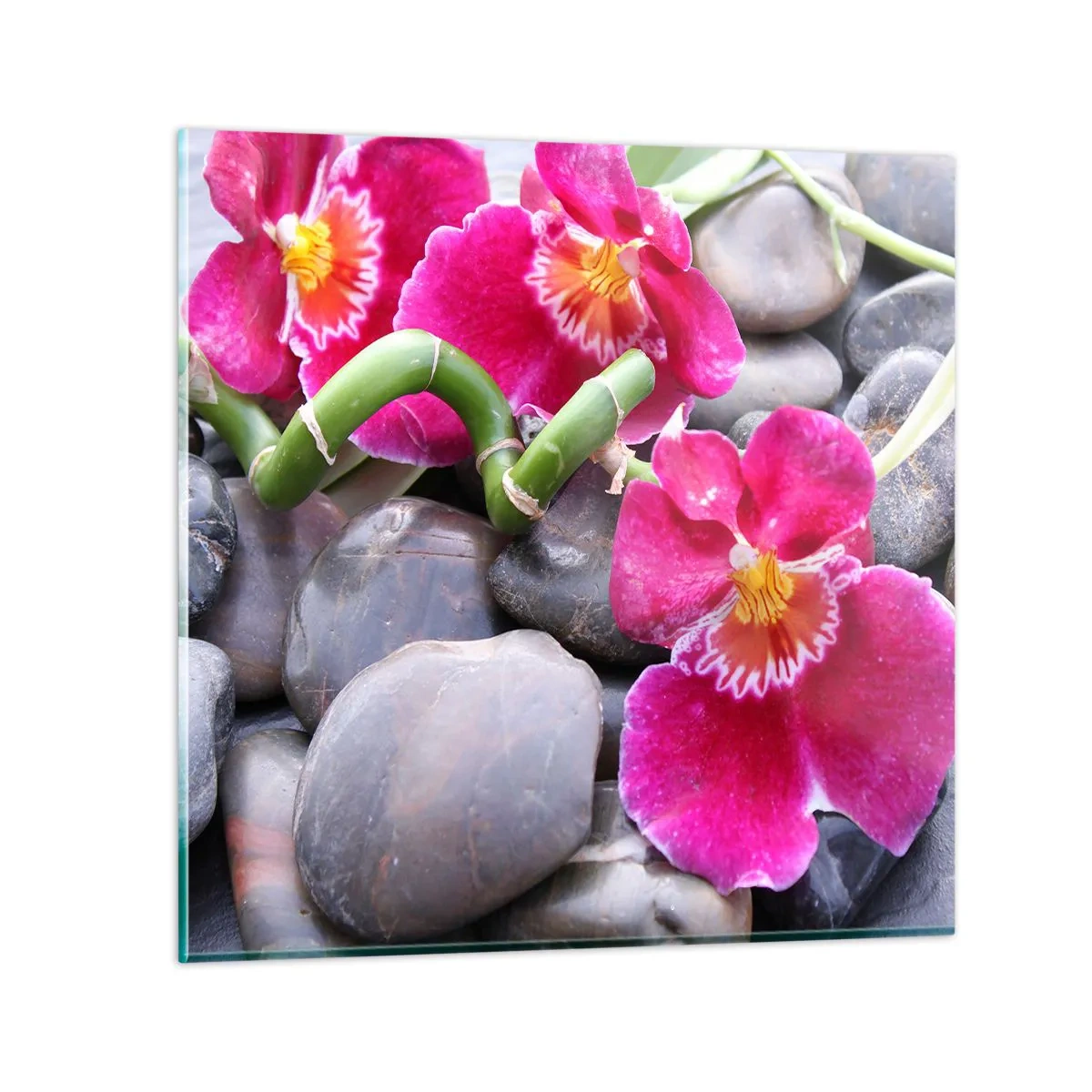 Glastavla - Bild på glas - Kyla och glöd - 40x40 cm