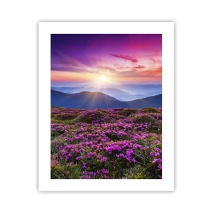 Affisch - Doftande örter - 40x50 cm