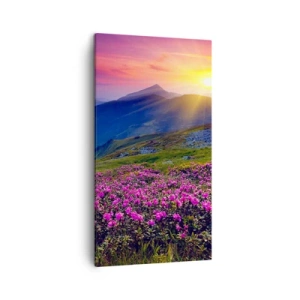 Canvastavla - Bild på duk - … Bergtallen doftar och örterna luktar runt omkring - 45x80 cm