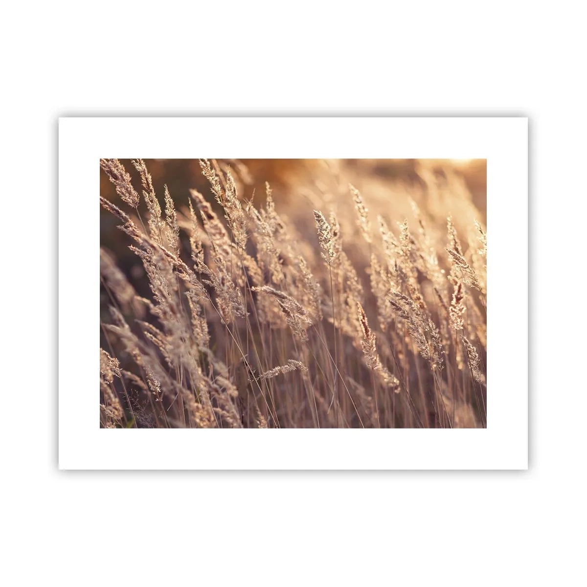 Affisch - Redo att välkomna hösten - 40x30 cm