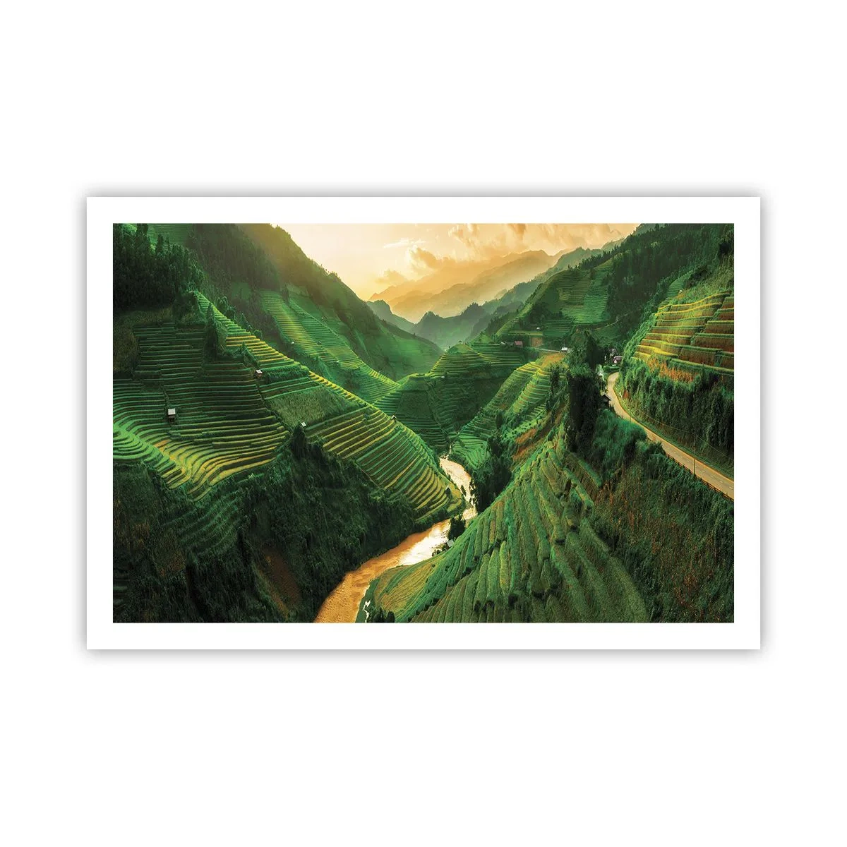 Affisch - Vietnamesisk dal - 91x61 cm