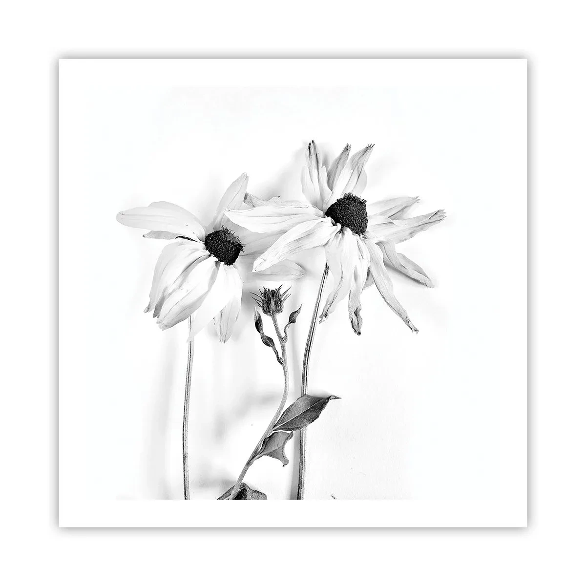 Affisch - Ingen vill vara ensam - 60x60 cm