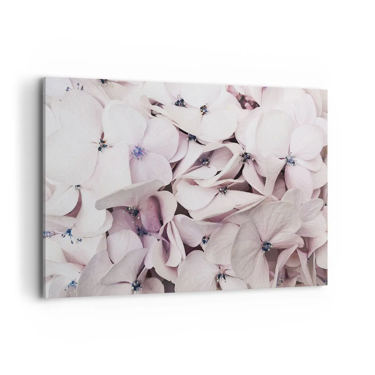 Canvastavla - Bild på duk - I en flod av blommor - 120x80 cm