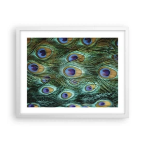 Affisch i vit ram - Påfågels blick - 50x40 cm