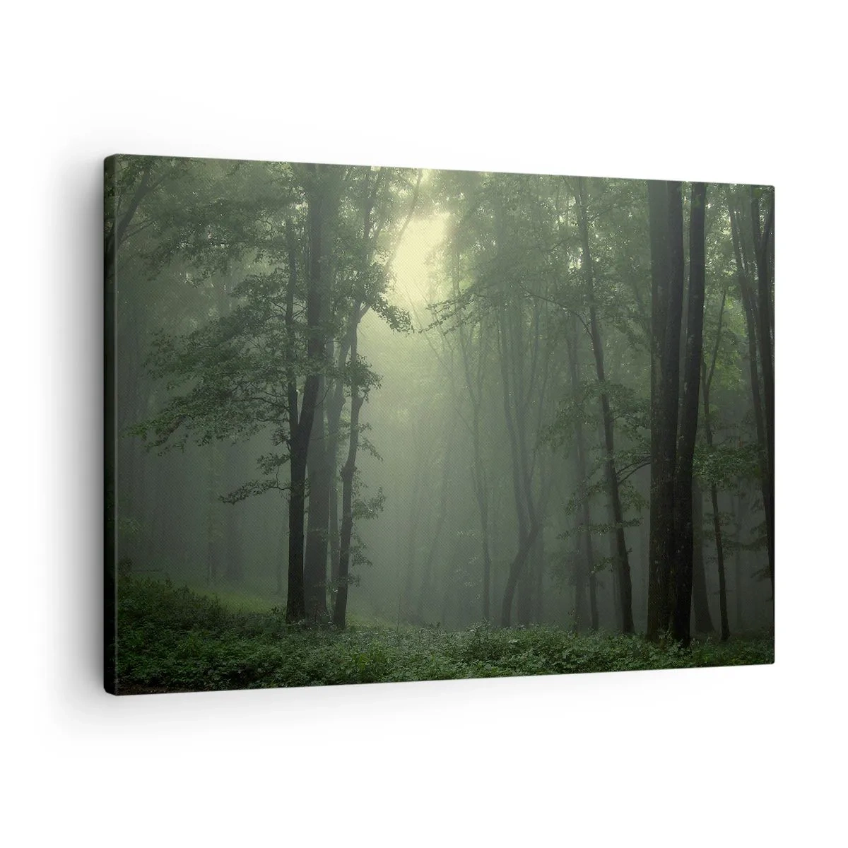 Canvastavla - Bild på duk - En grön skog på morgonen höljd i en delikat dimma - 70x50cm - Innan skogen vaknar - Modern väggdekoration för vardagsrum och sovrum ARTTOR