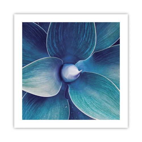 Affisch - Blått från himlen - 50x50 cm