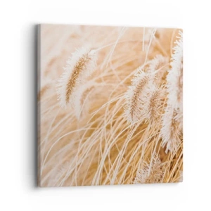Canvastavla - Bild på duk - Gyllene gräsrassel - 30x30 cm