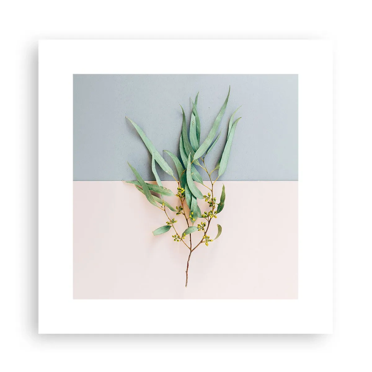 Affisch - Pastellens subtilitet - 30x30 cm